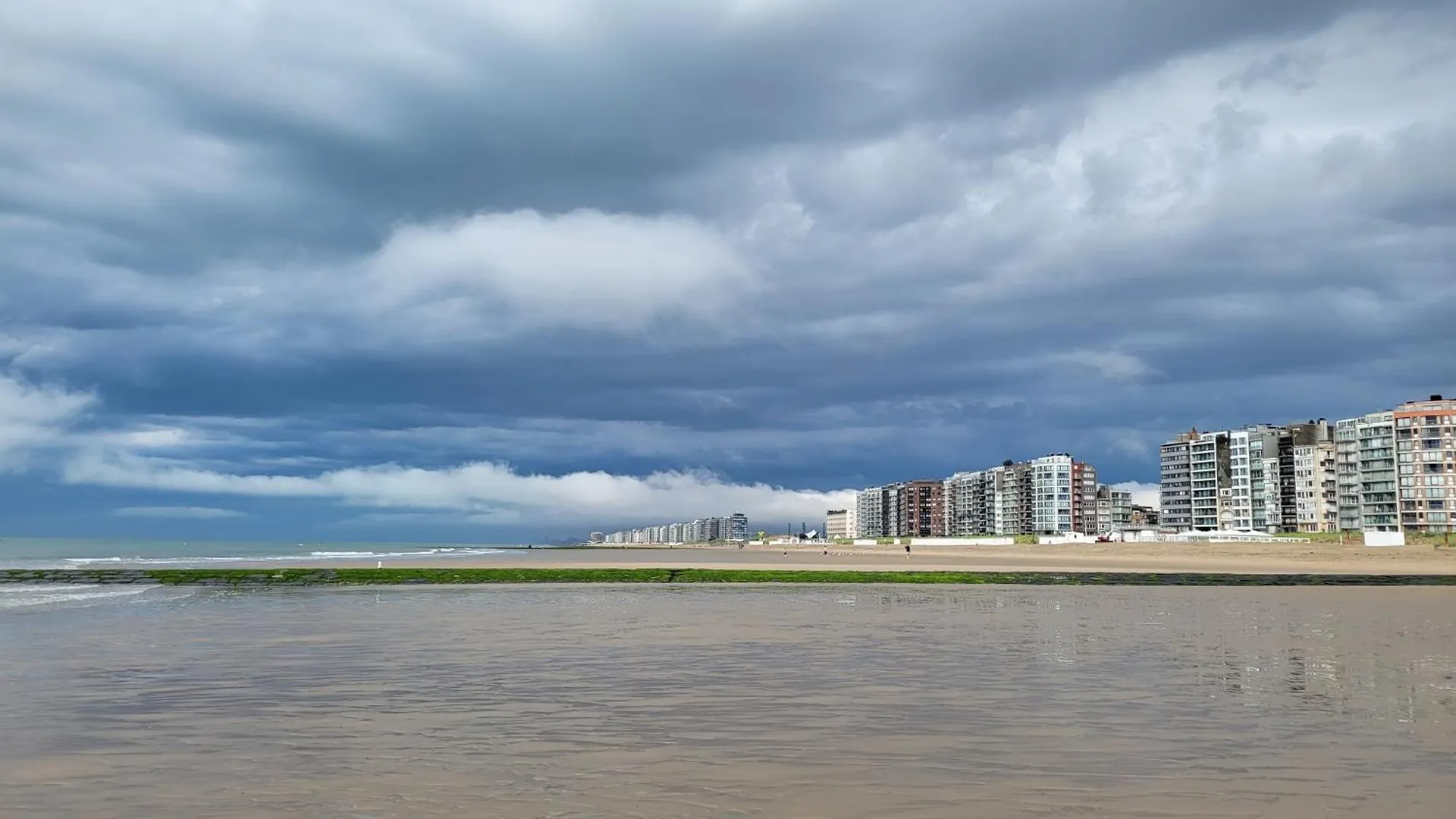 Les Hirondelles Westende Middelkerke Apartment